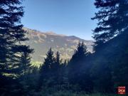 Automne2022125